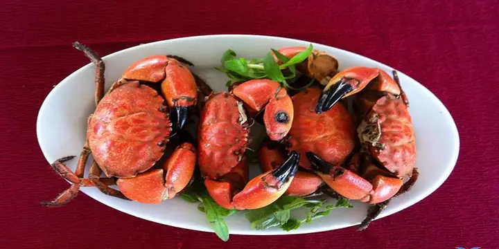 Đặc Sản, Món Ăn Ngon Ở Biển Đảo Minh Châu Du Khách Không Nên Bỏ Qua Đặc Sản, Món Ăn Ngon Ở Biển Đảo Minh Châu Du Khách Không Nên Bỏ Qua