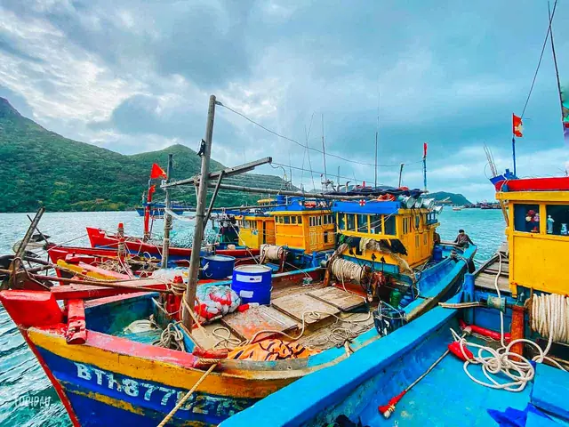Trải Nghiệm Khu Làng Chài Bãi Ngự: