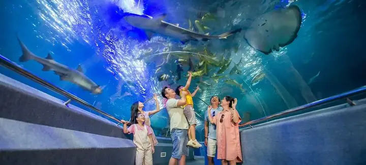 Tổng Chi Phí Cho Du Lịch Nha Trang 4 Ngày 3 Đêm Tổng Chi Phí Cho Du Lịch Nha Trang 4 Ngày 3 Đêm