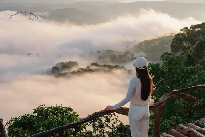Thời Điểm Nên Đi Săn Mây Đà Lạt
