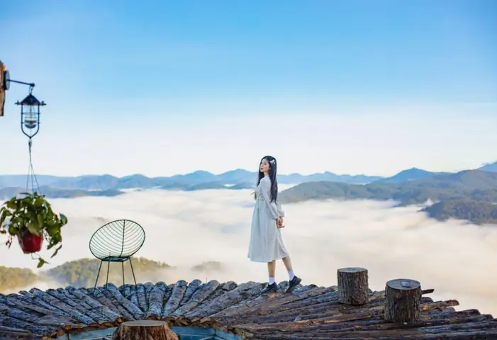 Đồi Chè Cầu Đất Đồi Chè Cầu Đất