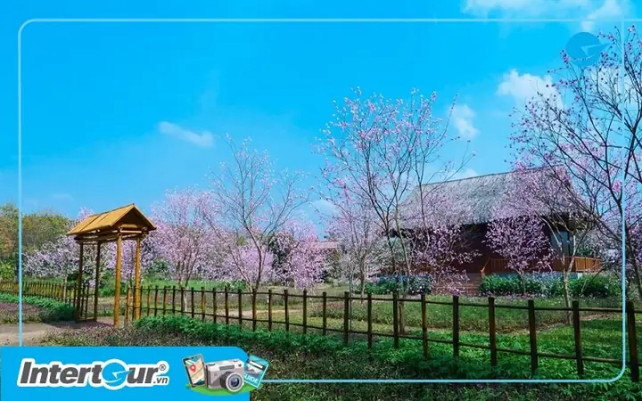 Làng Hàn Quốc Ở Tây Ninh
