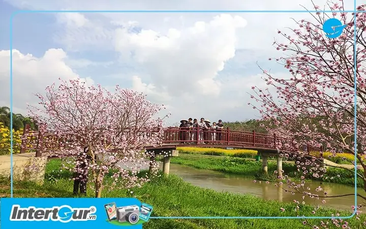Vẻ Đẹp Dịu Dàng Của Ngôi Làng Hàn Quốc Ở Tây Ninh