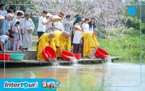 Lưu Ý Khi Thăm Làng Hàn Quốc Tây Ninh