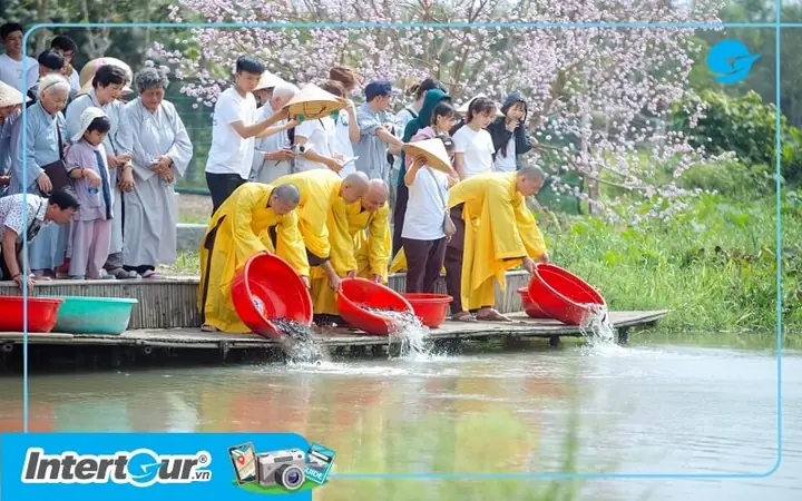 Lưu Ý Khi Thăm Làng Hàn Quốc Tây Ninh
