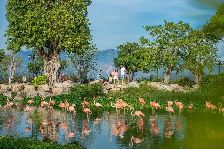 Những Quán Lẩu Tả Pí Lù Ngon Khác Tại Đà Lạt Không Thể Bỏ Qua Những Quán Lẩu Tả Pí Lù Ngon Khác Tại Đà Lạt Không Thể Bỏ Qua