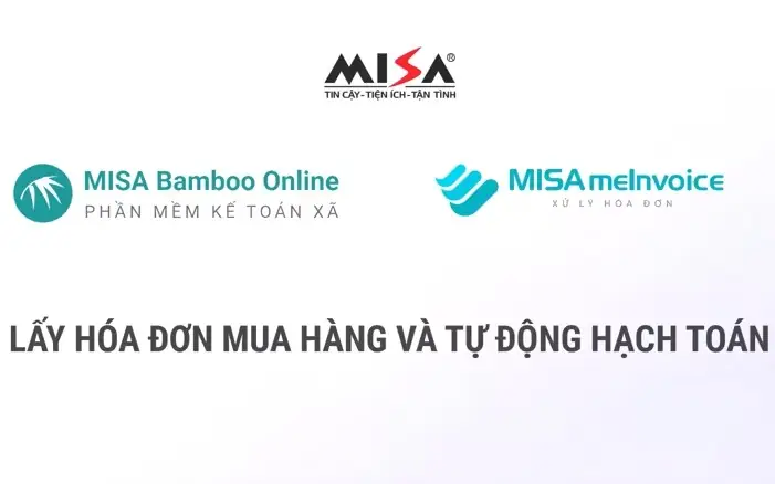 Hướng Dẫn Lấy Hóa Đơn Điện Tử Bamboo Airways Nhanh Chóng Và Chính Xác