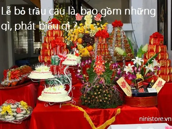 Tổng Hợp Những Nghi Thức Trong Đám Cưới Của Người Việt Tổng Hợp Những Nghi Thức Trong Đám Cưới Của Người Việt