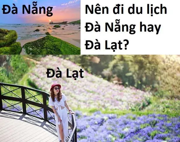 Lựa Chọn Nơi Lưu Trú: Khách Sạn Cao Cấp Hay Homestay Độc Đáo?