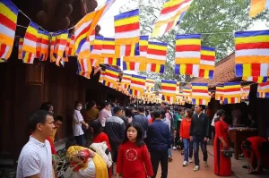 Lễ Hội Chùa Đậu Thường Tín Hội Tụ Linh Thiêng