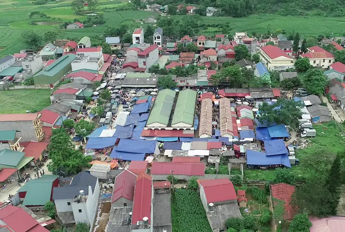 Hơn 300 Con Lợn Quay Tại Lễ Hội Ba Xã, Xã Tân Đoàn