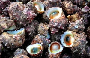 Thông Tin Hữu Ích Khi Đặt Lịch Bay Chu Lai