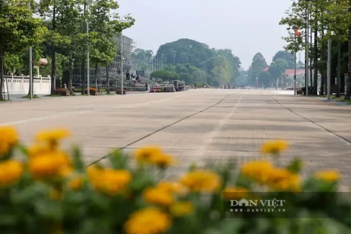 Phố Hùng Vương Trong Nhịp Sống Hiện Đại Và Tương Lai Phố Hùng Vương Trong Nhịp Sống Hiện Đại Và Tương Lai