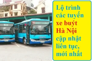 Lộ Trình Xe Bus 28 Bến Xe Nước Ngầm: Cập Nhật Đầy Đủ Nhất