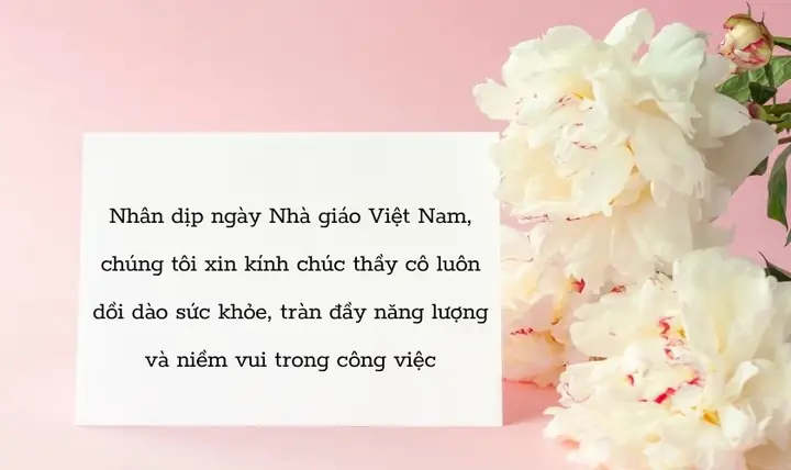 Lời Cảm Ơn Thầy Cô 20/11 Của Phụ Huynh