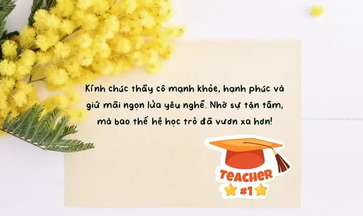 Lời Cảm Ơn Thầy Cô 20/11 Hay, Ý Nghĩa 2025
