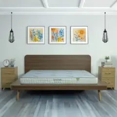 Nệm Ép Dẻo Tatana Khuyến Mãi 35% Tại Thế Giới Nệm