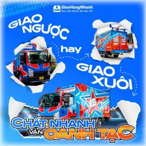Giao Hàng Nhanh Ship Đơn Nội Thành Đúng Người, Nhanh Chóng