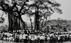 Mái Đình Tân Trào, Cây Đa Tân Trào: Biểu Tượng Tinh Thần Cách Mạng Việt Nam