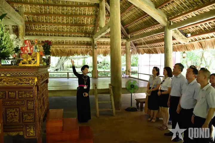 Mái Đình Hồng Thái Cây Đa Tân Trào