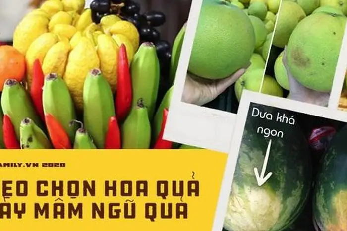 11 Loại Quả Thường Bày Mâm Ngũ Quả, Khéo Chọn Như Này Kiểu Gì ...