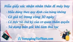 Quên Giấy Tờ Khi Đi Máy Bay?
