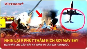 Hướng Dẫn Bật Tắt Và Sử Dụng Chế Độ Máy Bay Trên Iphone, Ipad, Ipod Touch, Apple Watch Và Apple Vision Pro