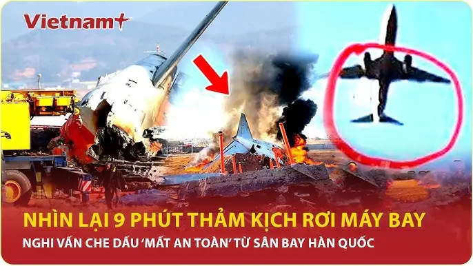 Hướng Dẫn Bật Tắt Và Sử Dụng Chế Độ Máy Bay Trên Iphone, Ipad, Ipod Touch, Apple Watch Và Apple Vision Pro