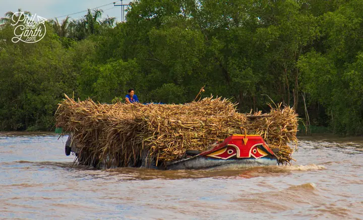 Mekong River Trip