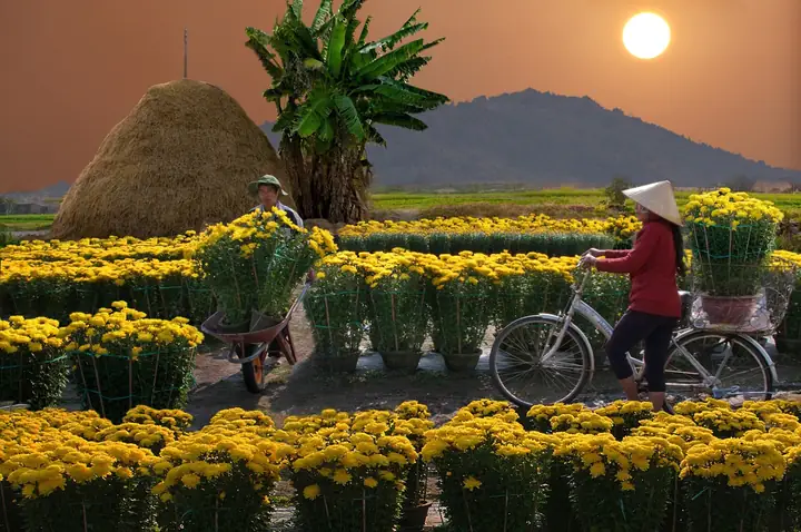 Mọi Người Thường Làm Gì Vào Ngày Tết