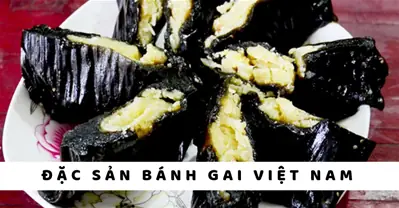 Bánh Gai Đặc Sản Ở Đâu? Top 4 Địa Chỉ Mua Đặc Sản Bánh Gai Ngon ... Bánh Gai Đặc Sản Ở Đâu? Top 4 Địa Chỉ Mua Đặc Sản Bánh Gai Ngon ...