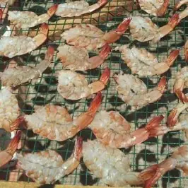 Tôm Một Nắng Phú Yên Tôm Một Nắng Phú Yên