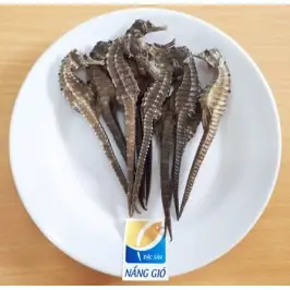Cá Ngựa Cá Ngựa