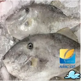 Cá Bò Da Cá Bò Da
