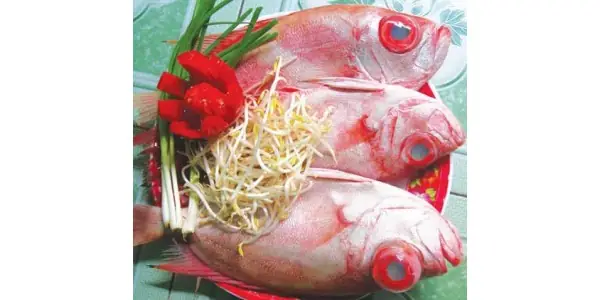 Mua Cá Biển Tươi Ngon Ở Đâu Tphcm, Sài Gòn Mua Cá Biển Tươi Ngon Ở Đâu Tphcm, Sài Gòn