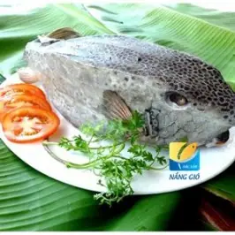 Cá Bò Hòm Phan Thiết Cá Bò Hòm Phan Thiết