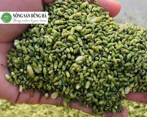 Lợi Ích Có Trong Trong Hoa Hòe Khô