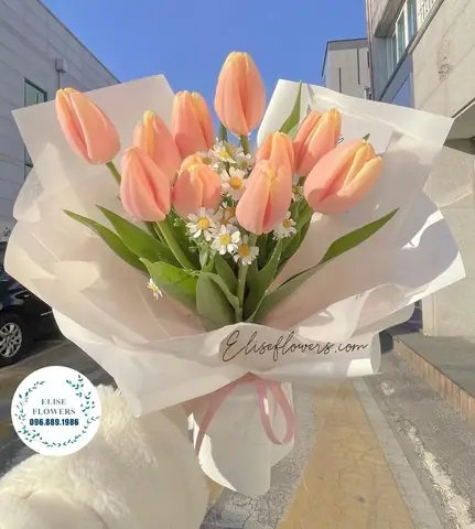 Cácmẫu Hoa Tulip Đẹpđược Yêu Thích Tại Shop: