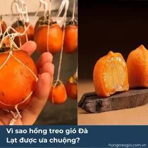 Vì Sao Hồng Treo Gió Đà Lạt – Thức Quà Đặc Sảnđược Ưa Chuộng?