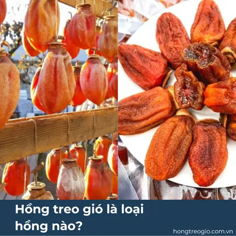 Hồng Treo Gió Là Loại Hồng Nào?