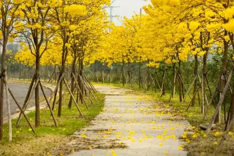 Khí Hậu Hà Nội Suốt 4 Mùa & Kinh Nghiệm Du Lịch Hữu Ích Khí Hậu Hà Nội Suốt 4 Mùa & Kinh Nghiệm Du Lịch Hữu Ích