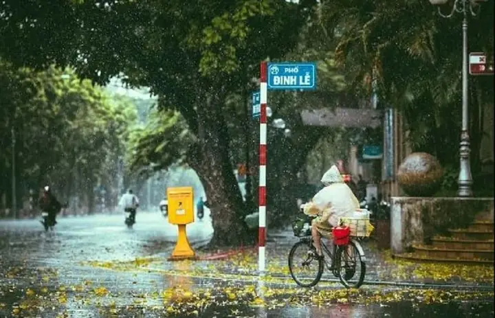 Mùa Mưa Hà Nội Và Những Hình Ảnh Đẹp Dịu Dàng Man Mác - Ẩm ...