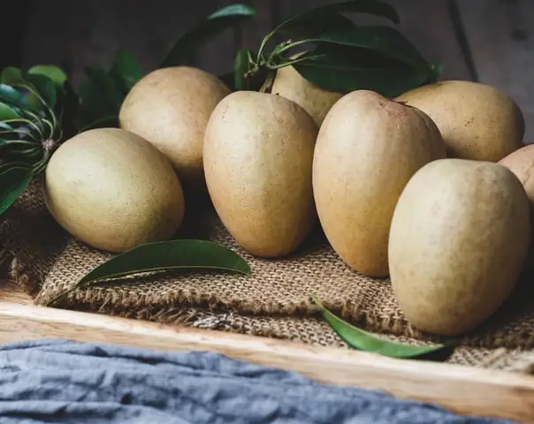 Hồng Xiêm Xuân Đỉnh Chín Rộ, Ngọt Thơm