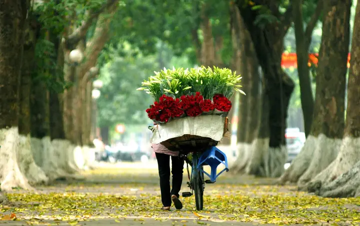 Thổn Thức Những Lời Thơ, Ca Khúc Về Mùa Thu Hà Nội Da Diết