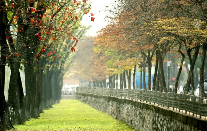 Những Hình Ảnh Về Thu Hà Nội Đẹp Mê Đắm