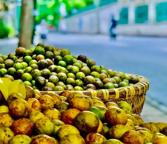 Sấu Chín Vàng Như Màu Nắng Thu, Vị Khó Quên