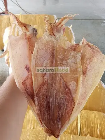 Làm Sao Để Mực Khô Được Cho Lên Máy Bay