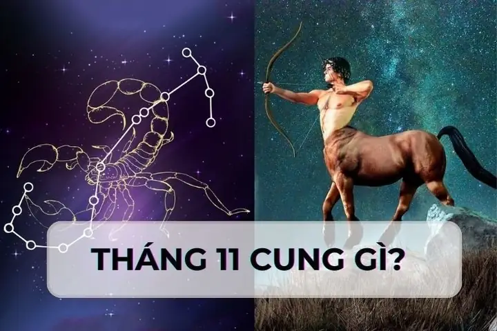 Tháng 11 Cung Gì? Những Đặc Điểm Nổi Bật Của Người Sinh Tháng 11