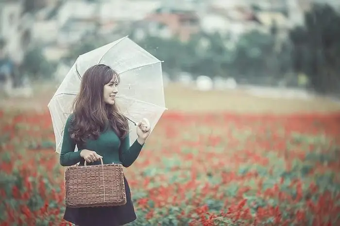 Hướng Tốt, Giờ Đẹp Xuất Hành Đón May Mắn, Tài Lộc Mùng 2 Tết Giáp ...