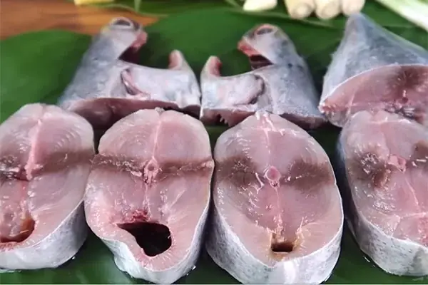Nguồn Dinh Dưỡng Từ Cá Ngừ